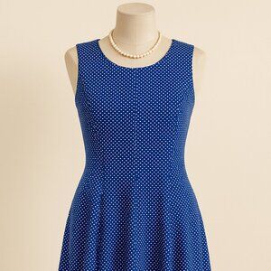 Ronni Nicole Blue & White Sleeveless Fit & Flare Dress Size 10